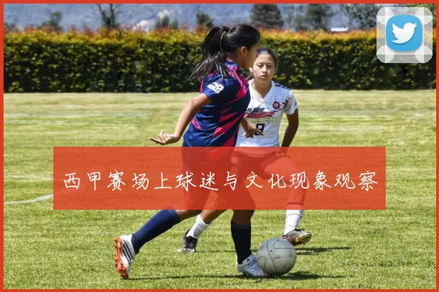 西甲赛场上球迷与文化现象观察