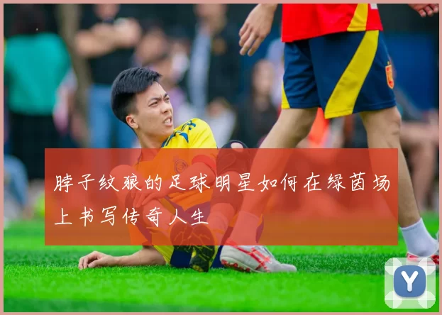 脖子纹狼的足球明星如何在绿茵场上书写传奇人生