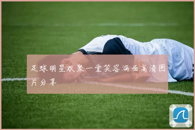 足球明星欢聚一堂笑容满面高清图片分享